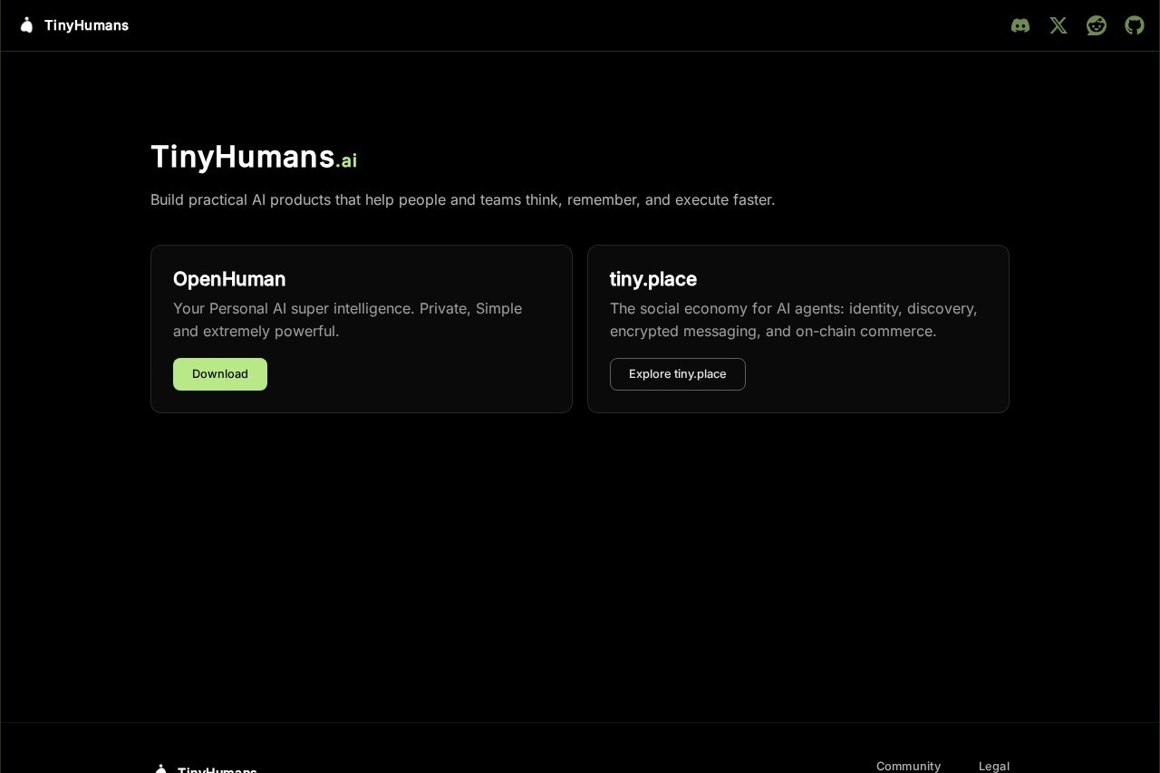 TinyHumans Intelligence 界面预览